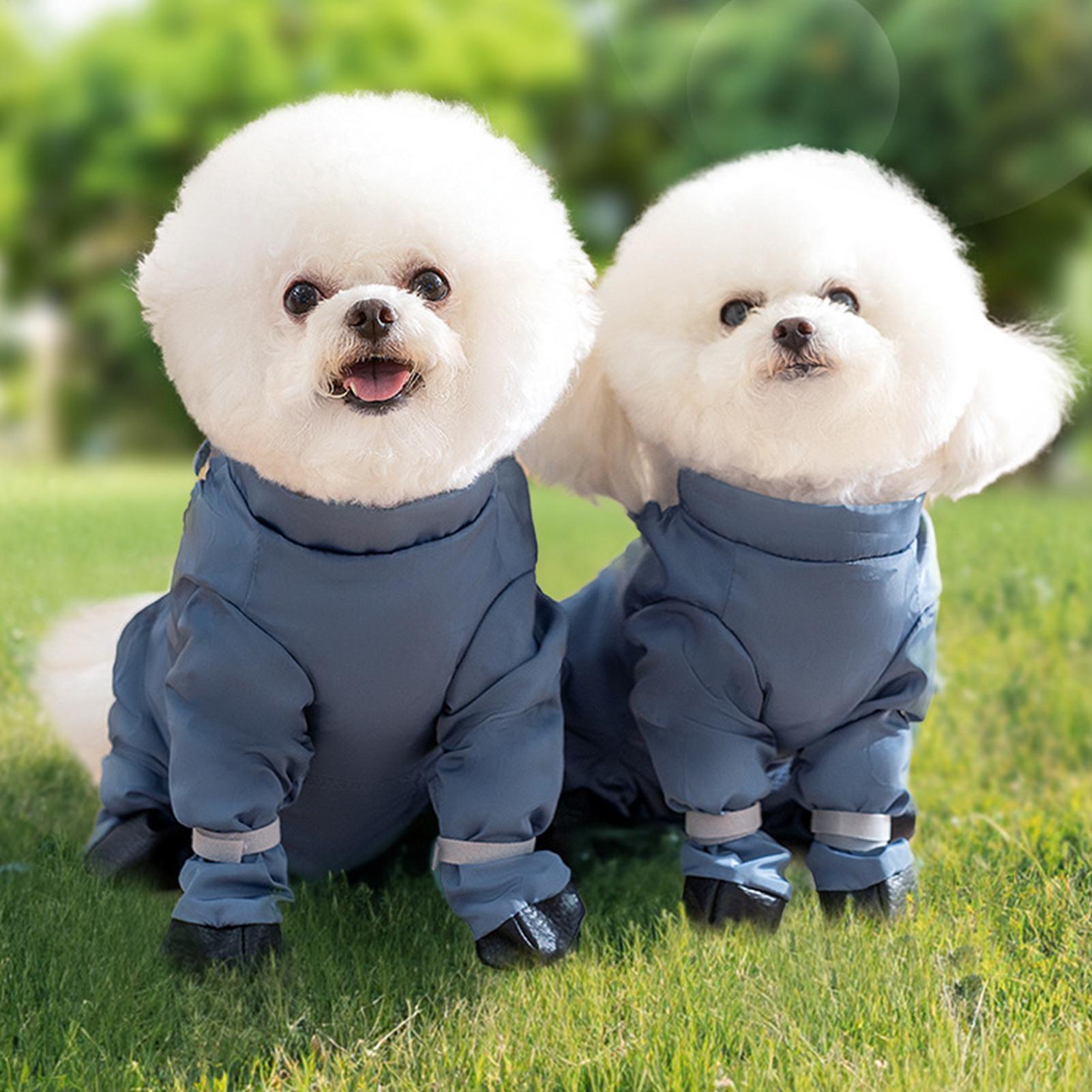 รองเท้าสุนัขกันน้ำพร้อมสายรัดป - Women'S Shoes Hush Puppies บทวิจารณ์และราคา